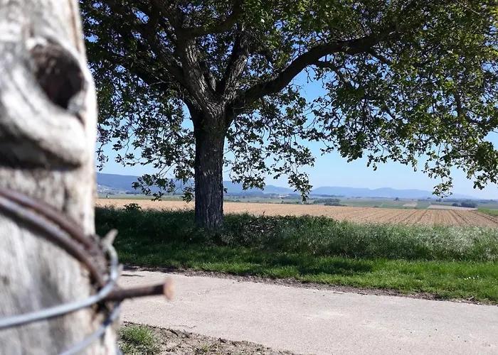 Die Gefaehrten