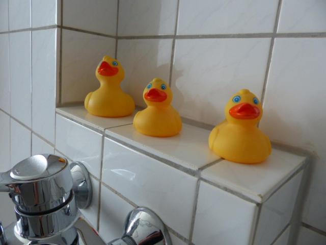 Gefaehrten Appartement