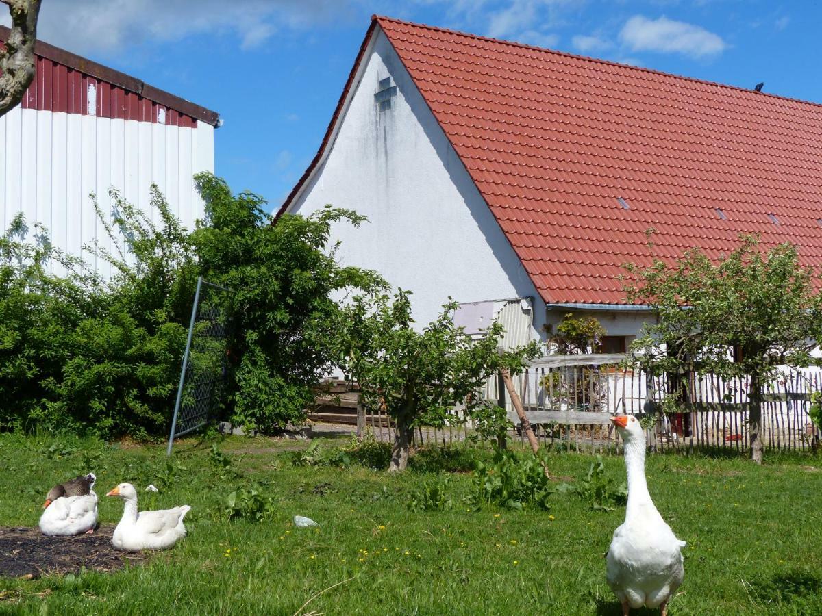 Gefaehrten Appartement *